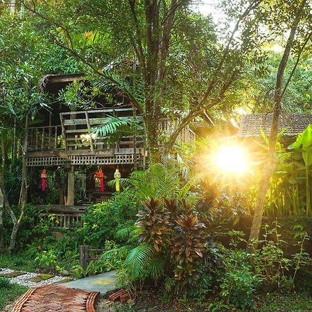 Tongluang Inthanon Homestay โต้งหลวงอินทนนท์โฮมสเตย์ Chom Thong Dış mekan fotoğraf