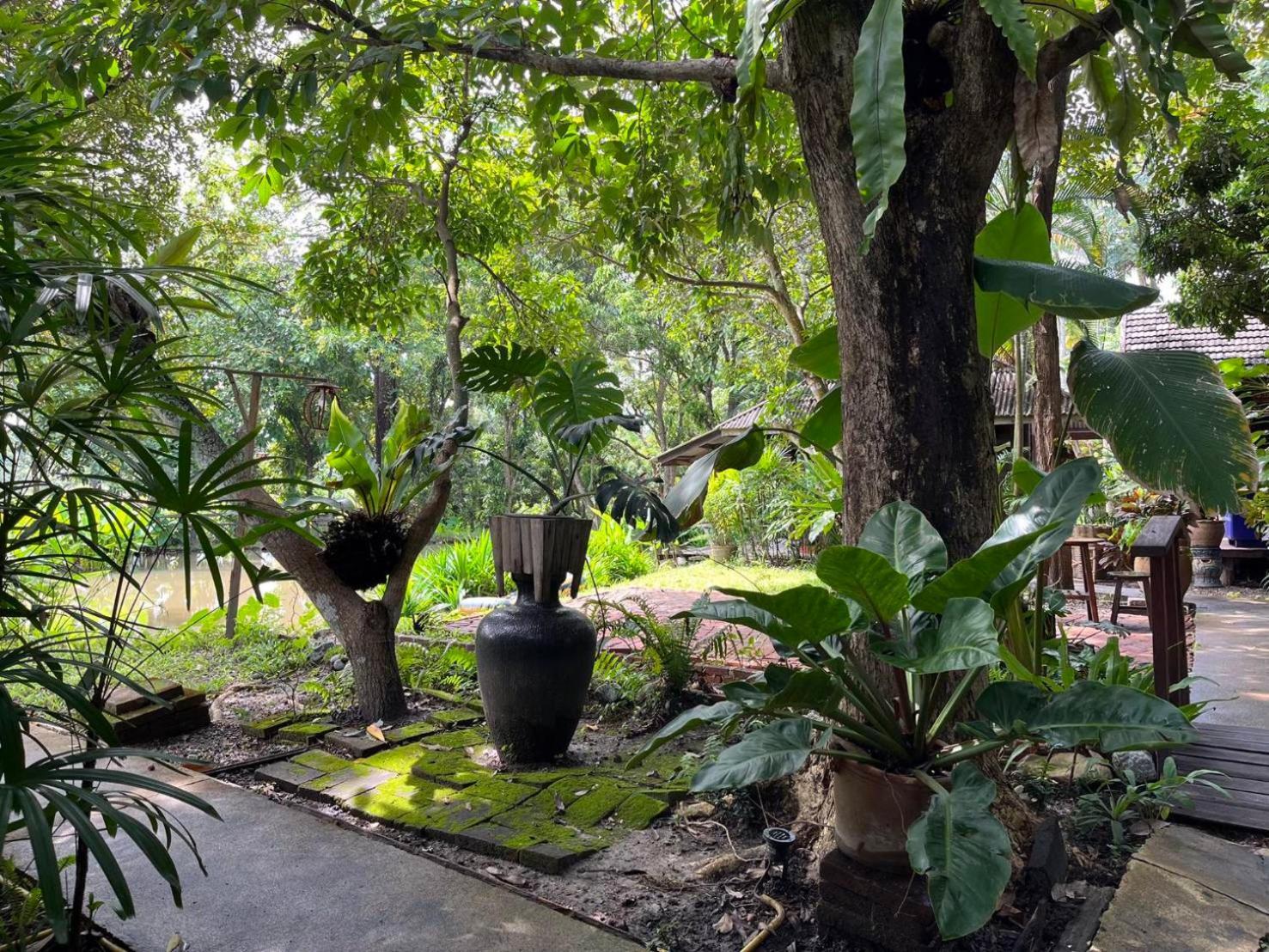 Tongluang Inthanon Homestay โต้งหลวงอินทนนท์โฮมสเตย์ Chom Thong Dış mekan fotoğraf